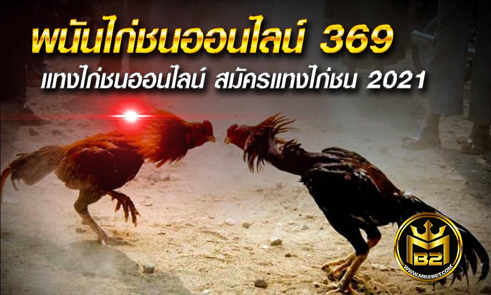 พนันไก่ชนออนไลน์ 369 แทงไก่ชนออนไลน์ สมัครแทงไก่ชน 2021