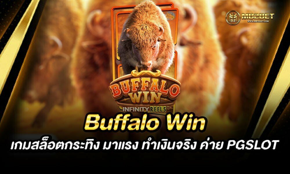 Buffalo Win เกมสล็อตกระทิง มาแรง ทำเงินจริง ค่าย PGSLOT