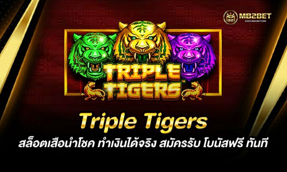 Triple Tigers สล็อตเสือนำโชค ทำเงินได้จริง สมัครรับ โบนัสฟรี ทันที