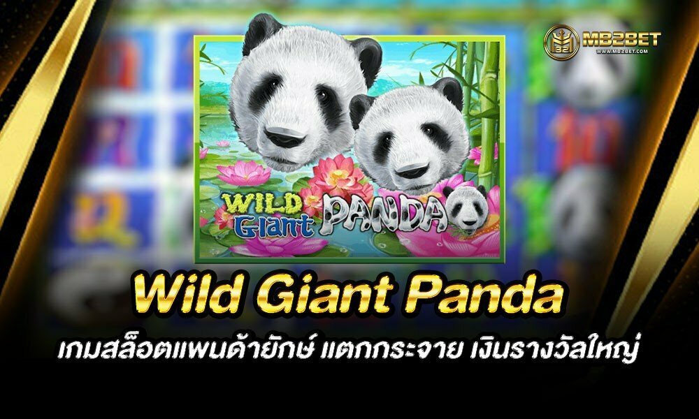 Wild Giant Panda เกมสล็อตแพนด้ายักษ์ แตกกระจาย เงินรางวัลใหญ่